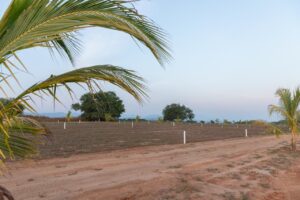 Fraccionamiento selvia guadani 8